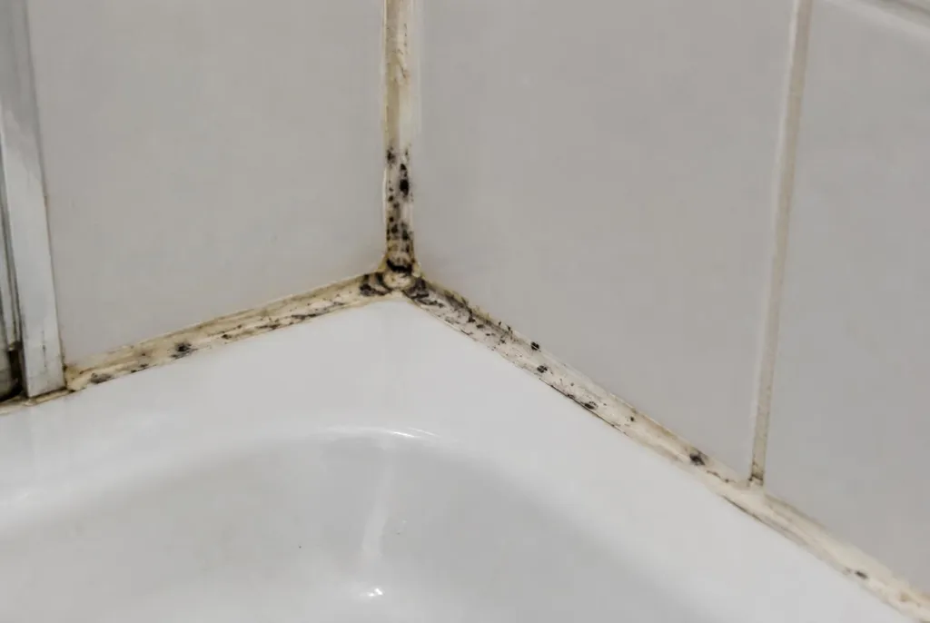 Kitbedrijf Hoogeveen – beschimmelde kitranden